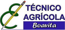 Institución Educativa Técnico Agrícola de Boavita